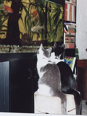 Sissy und Silvio