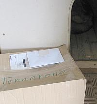 Tenerone