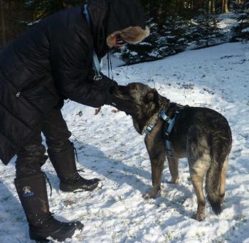 Tenerone und Annelie