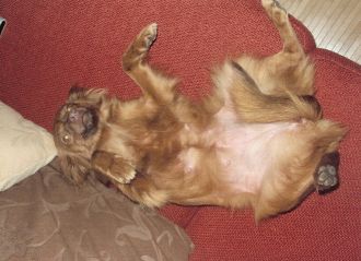 Betsy
