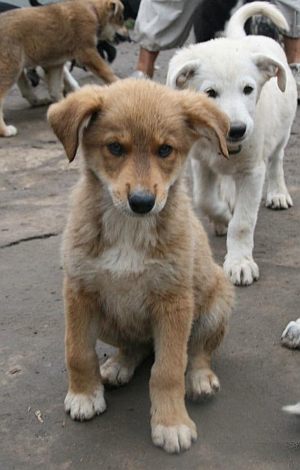 Ben hinter seiner Schwester Julia