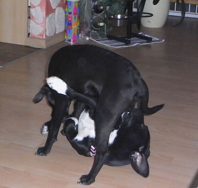 Mabel und Martha