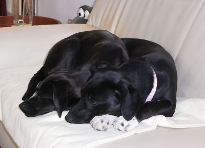 Mabel und Martha