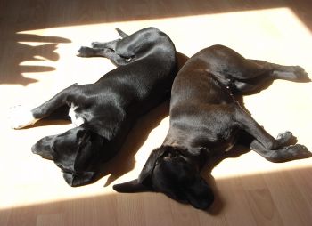 Mabel und Martha