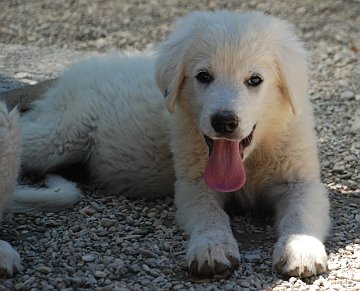 Marilyn