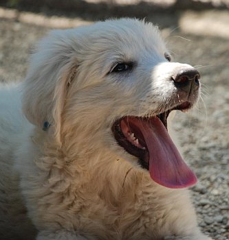 Marilyn