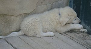 Monroe