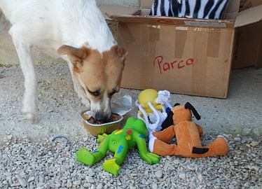 Parca