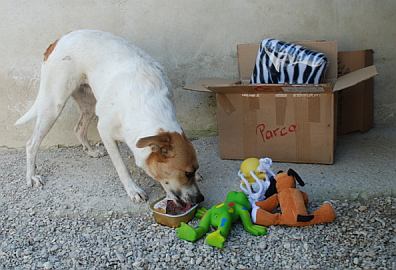 Parca