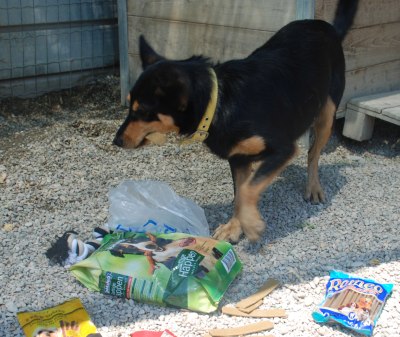 Pasquetta