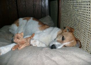 Penny