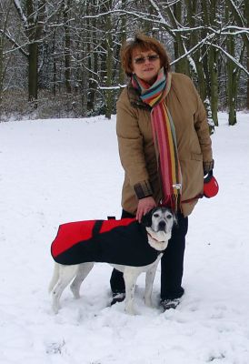 Poldina