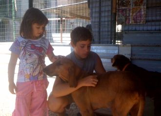 Sante