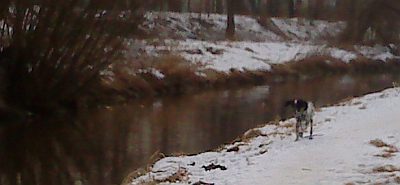 am Bach