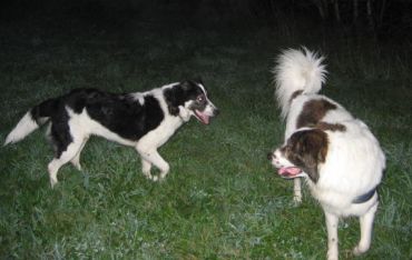 Terell und Lino