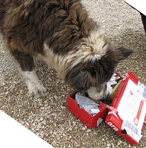 beim Auspacken