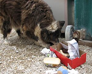 beim Auspacken