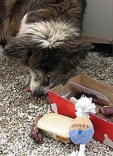 beim Auspacken