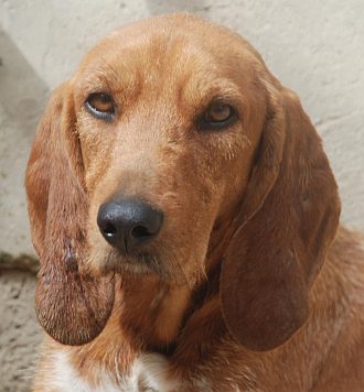 Alberto