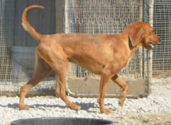 Alberto