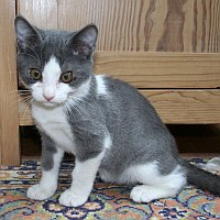 Benito