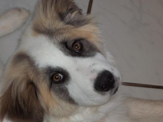 Billy