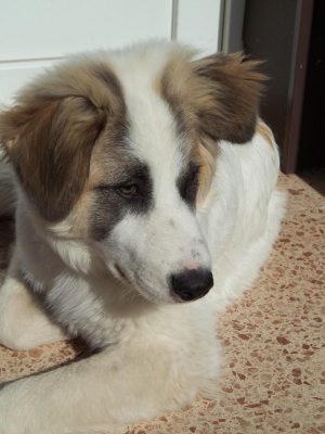 Billy
