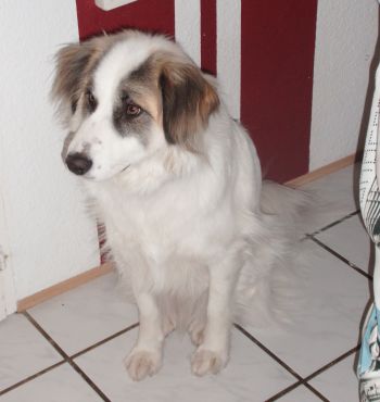 Billy