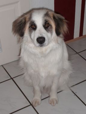 Billy