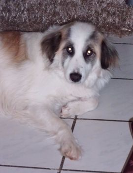 Billy