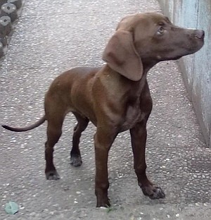 Billy