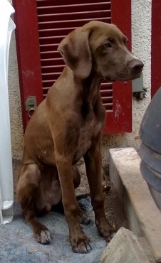 Billy