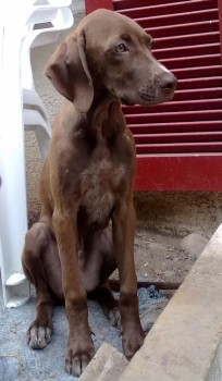 Billy
