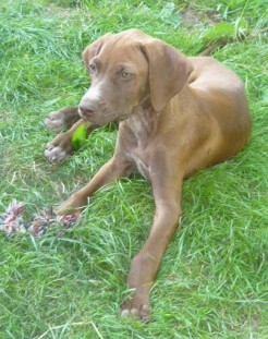Billy