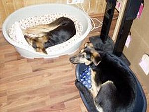 Lina und Ronja