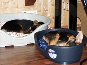 Lina und Ronja
