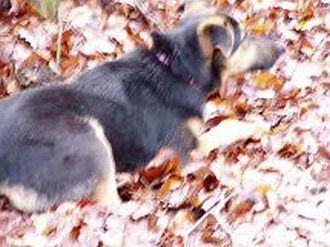 Lina und Ronja