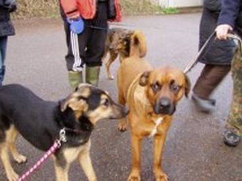 Lina und Ronja
