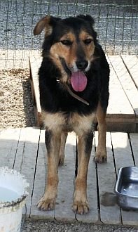 Matteo