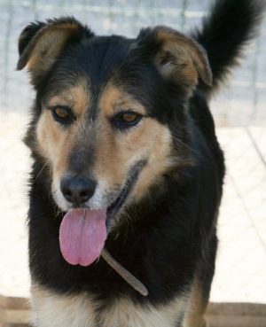 Matteo