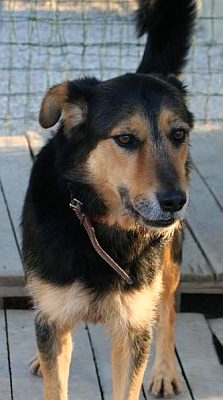 Matteo