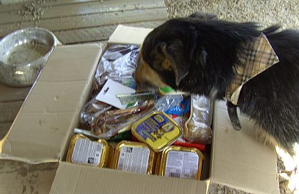 Nase im Paket