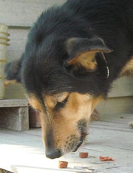 Matteo
