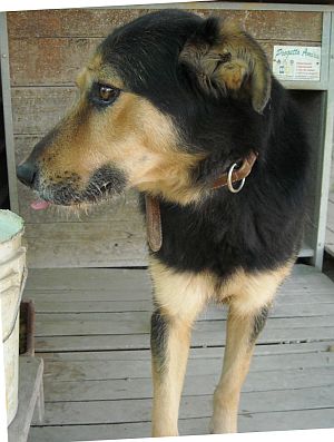 Matteo