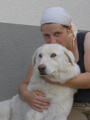 Mausi