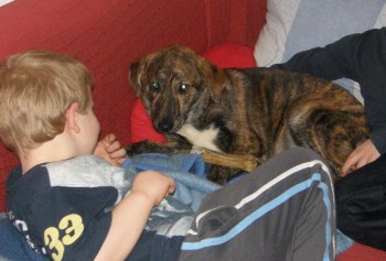 Max