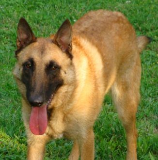 Samanta