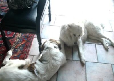 Ten und Tristan