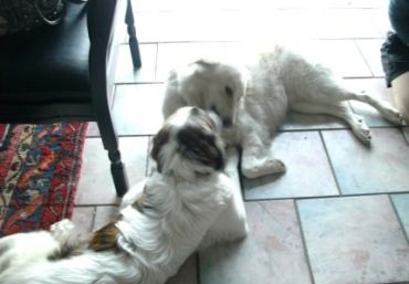Ten und Tristan