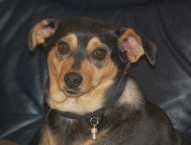 Tina